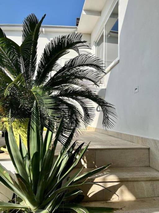 Naples In The History 4M Bed & Breakfast Exterior photo